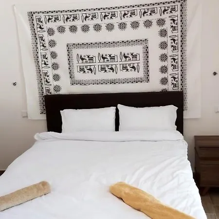 Cosy 사판자